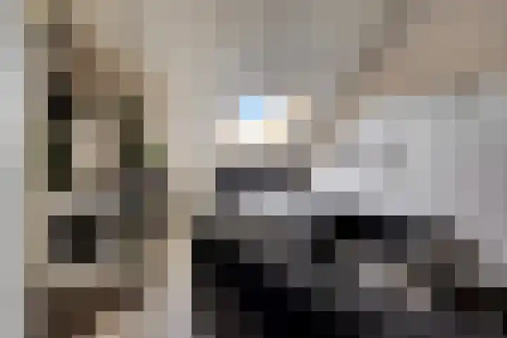 De Galjoen 20 Dinteloord thumbnail 19