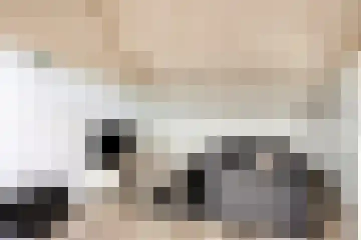 De Galjoen 20 Dinteloord thumbnail 20