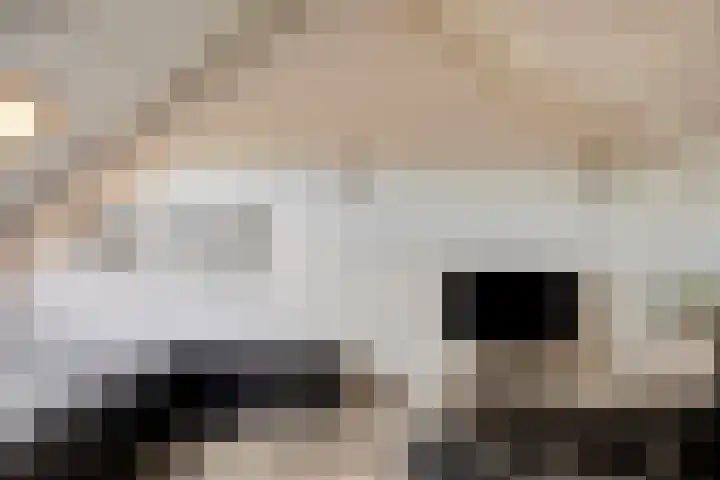 De Galjoen 20 Dinteloord thumbnail 21