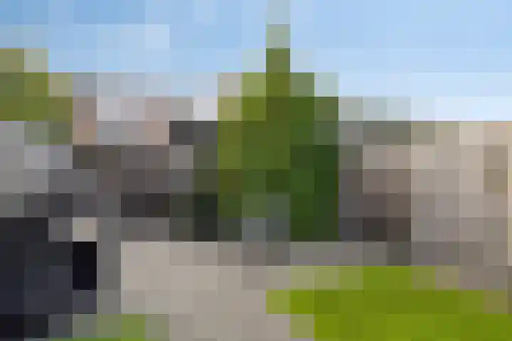De Galjoen 20 Dinteloord thumbnail 22