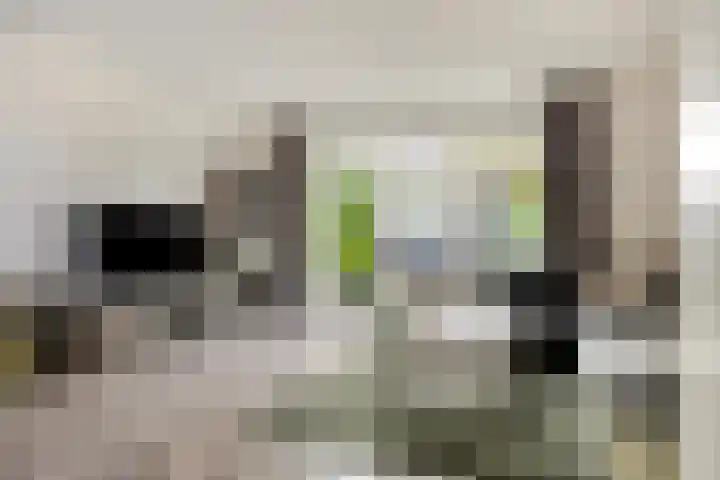 De Galjoen 20 Dinteloord thumbnail 4