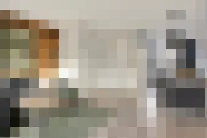 De Galjoen 20 Dinteloord thumbnail 5