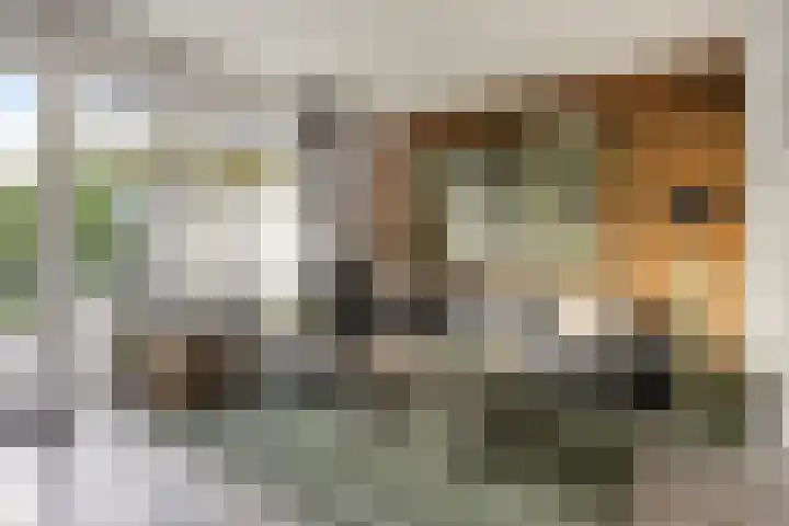De Galjoen 20 Dinteloord thumbnail 6
