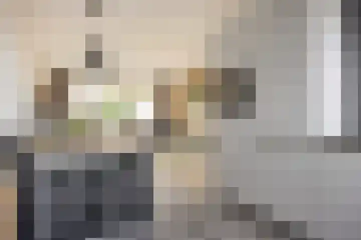 De Galjoen 20 Dinteloord thumbnail 8