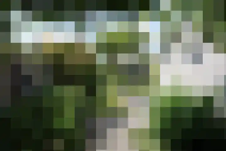De Galop 9 Dronten thumbnail 29