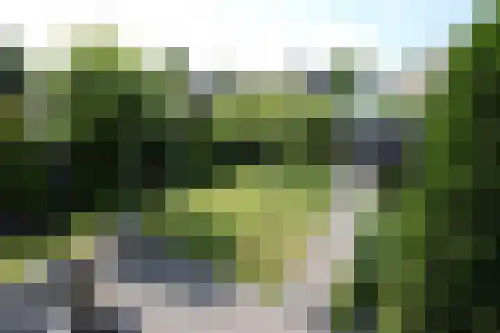 De Galop 9 Dronten thumbnail 31