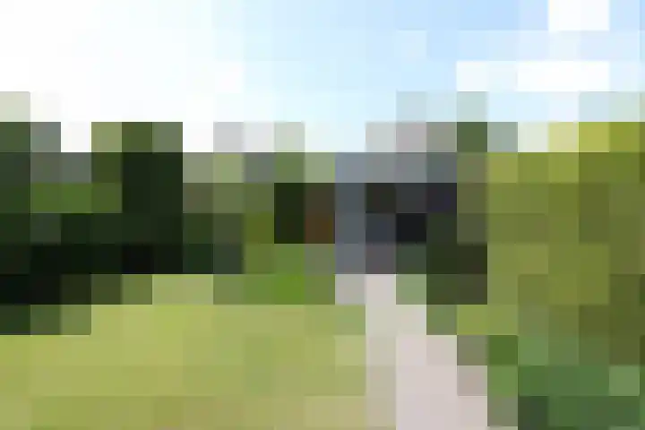 De Galop 9 Dronten thumbnail 32