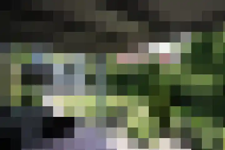 De Galop 9 Dronten thumbnail 33