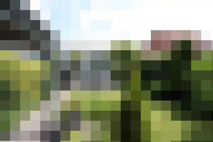 De Galop 9 Dronten thumbnail 34