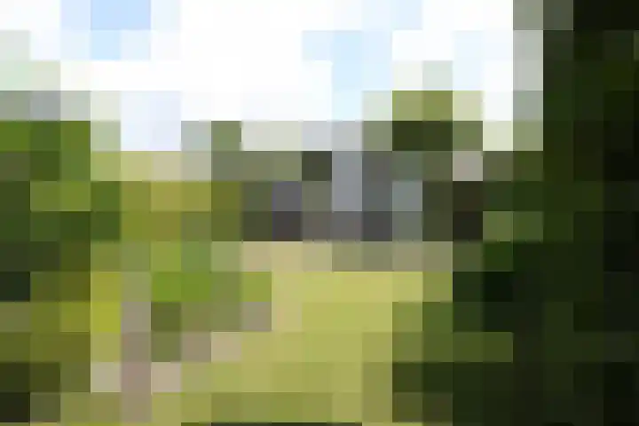 De Galop 9 Dronten thumbnail 35