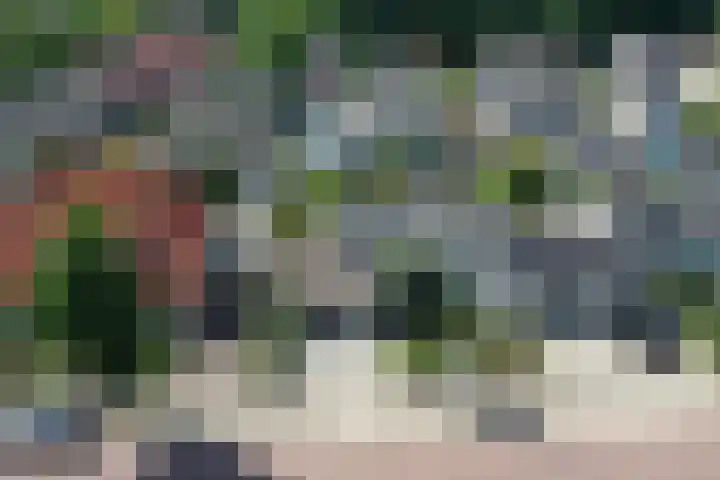 De Galop 9 Dronten thumbnail 37