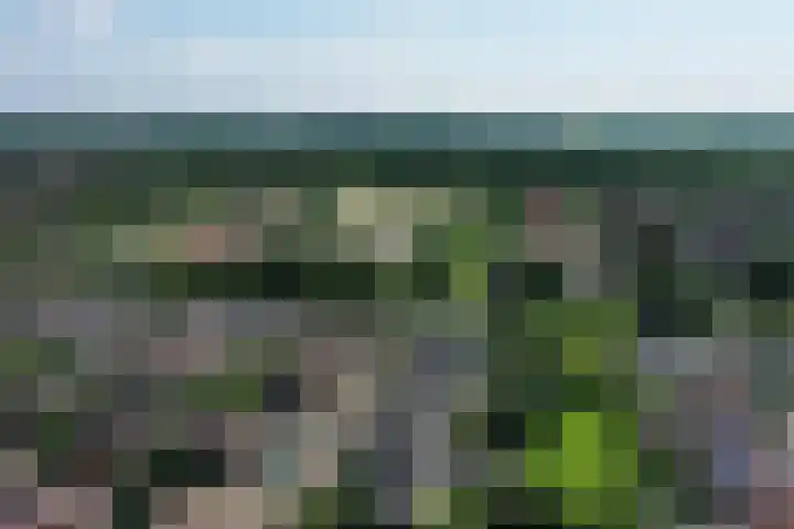De Galop 9 Dronten thumbnail 39