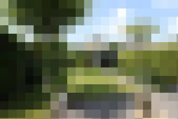 De Galop 9 Dronten thumbnail 4
