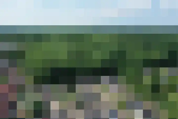 De Galop 9 Dronten thumbnail 40