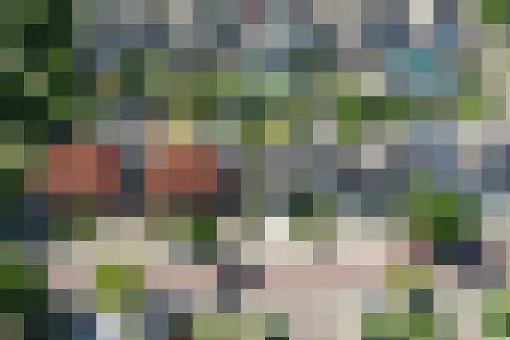 De Galop 9 Dronten thumbnail 41