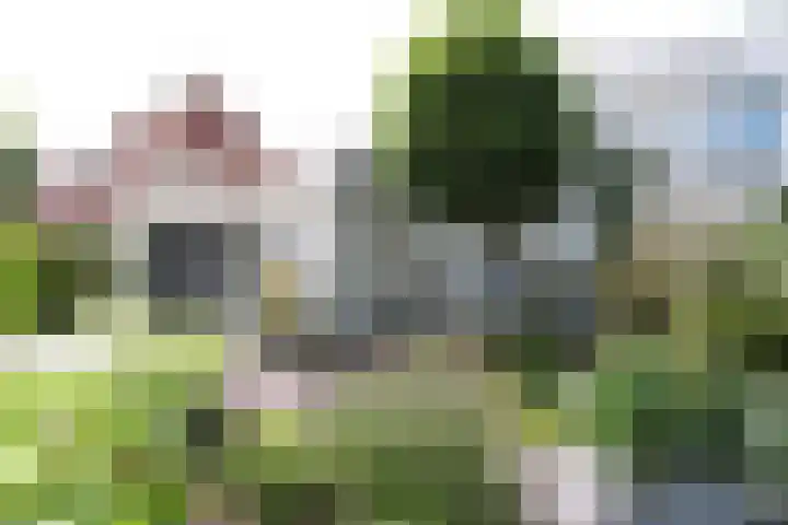 De Galop 9 Dronten thumbnail 6