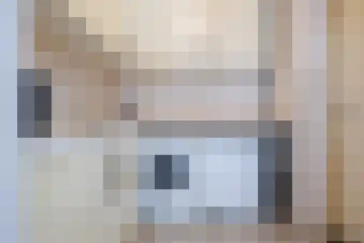 de Gamert 2302 Wijchen thumbnail 15