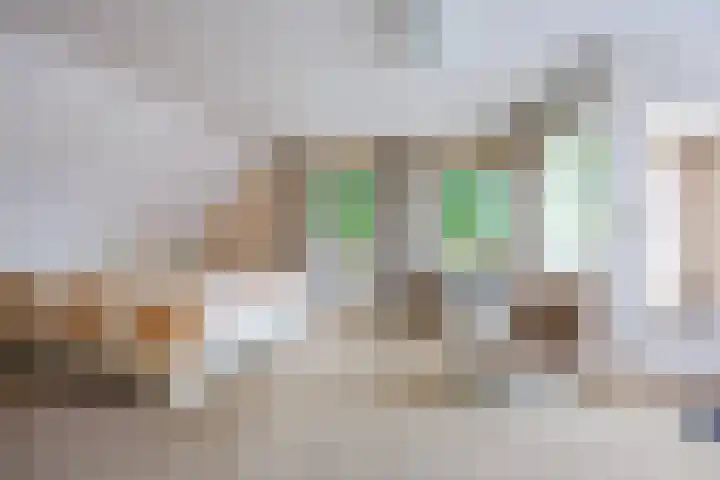 de Gamert 2302 Wijchen thumbnail 20