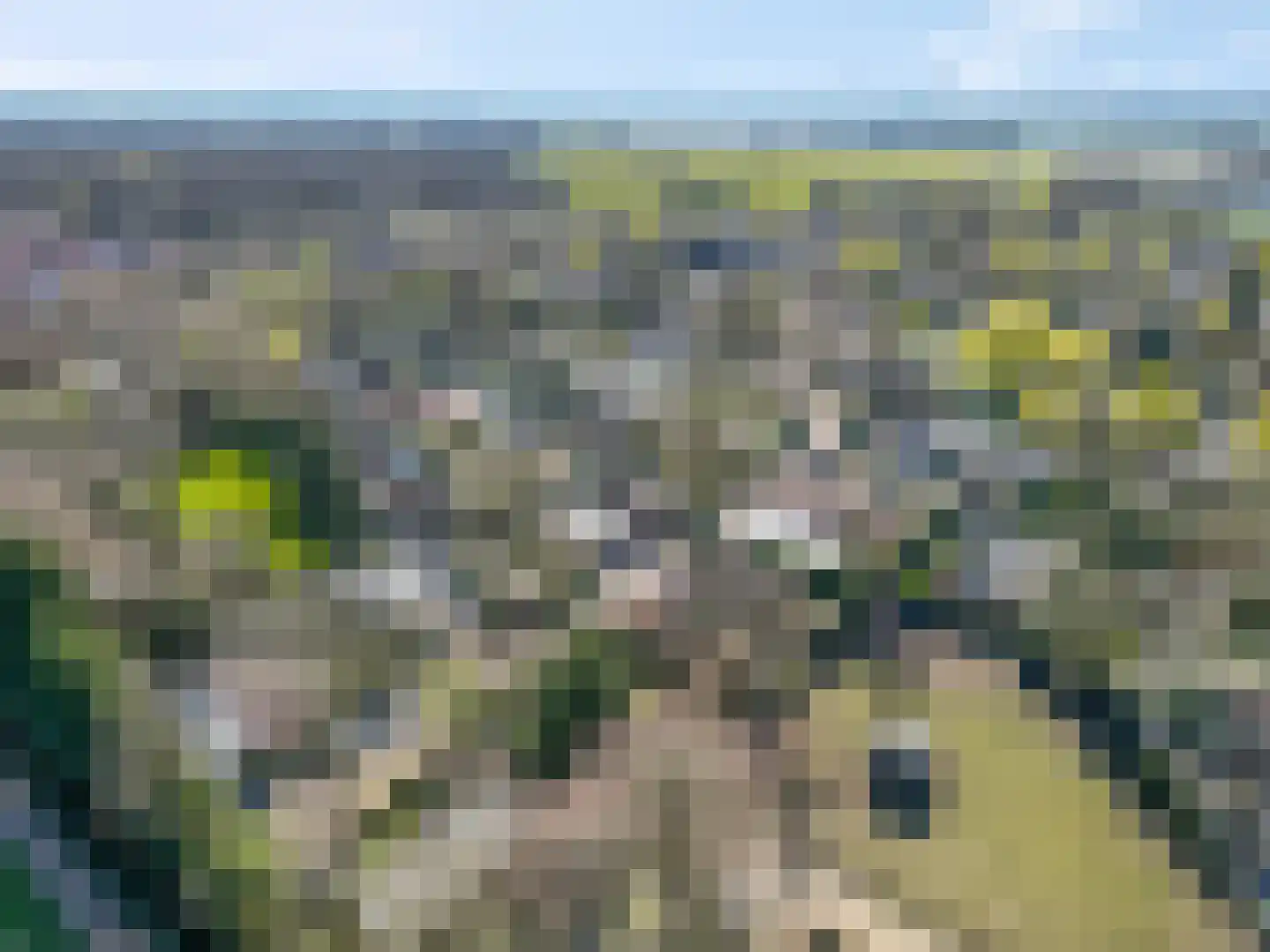 de Gamert 2302 Wijchen thumbnail 22