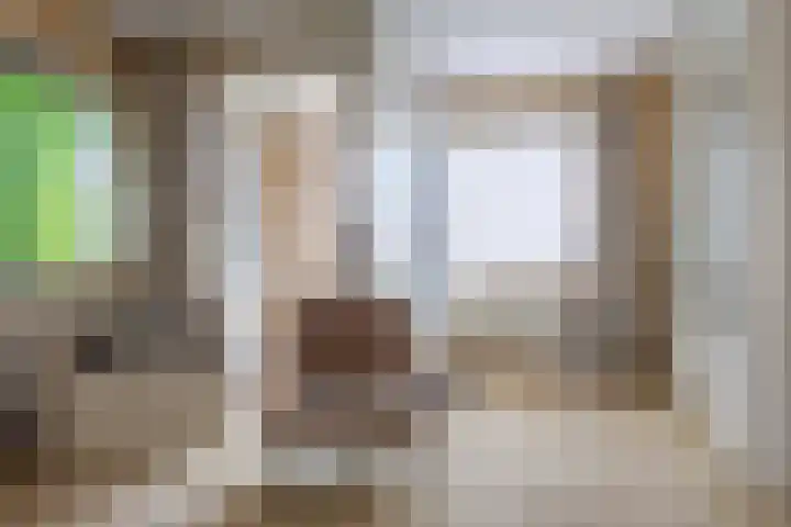 de Gamert 2302 Wijchen thumbnail 23