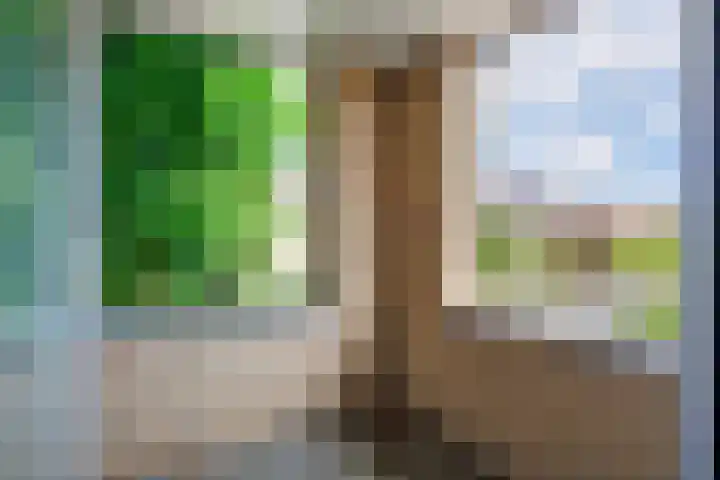 de Gamert 2302 Wijchen thumbnail 24