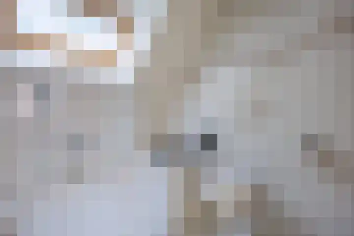 de Gamert 2302 Wijchen thumbnail 29