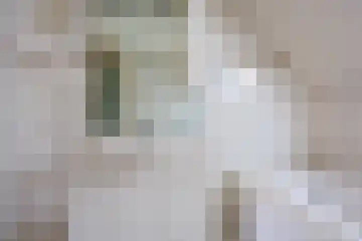 de Gamert 2302 Wijchen thumbnail 31