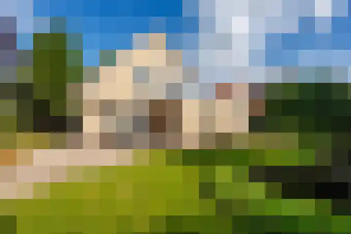 de Gamert 2302 Wijchen thumbnail 40