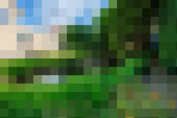 de Gamert 2302 Wijchen thumbnail 43