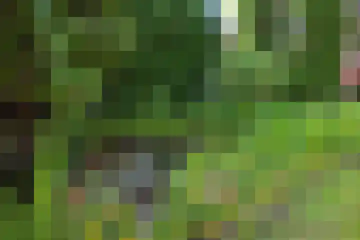 de Gamert 2302 Wijchen thumbnail 44