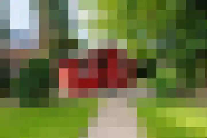 de Gamert 2302 Wijchen thumbnail 47