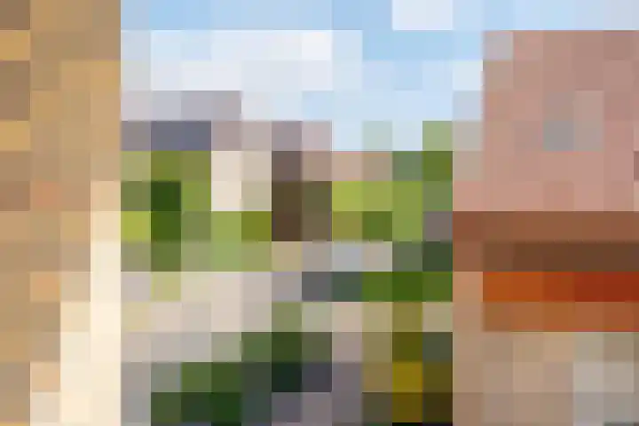 de Gamert 2302 Wijchen thumbnail 54