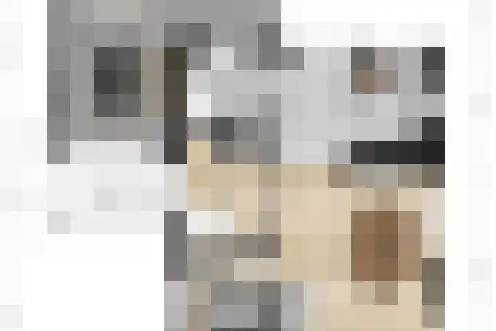 de Gamert 2302 Wijchen thumbnail 61