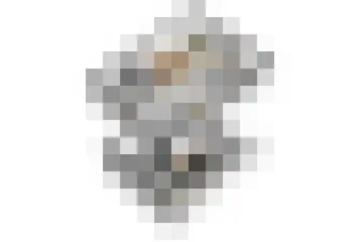 de Gamert 2302 Wijchen thumbnail 62