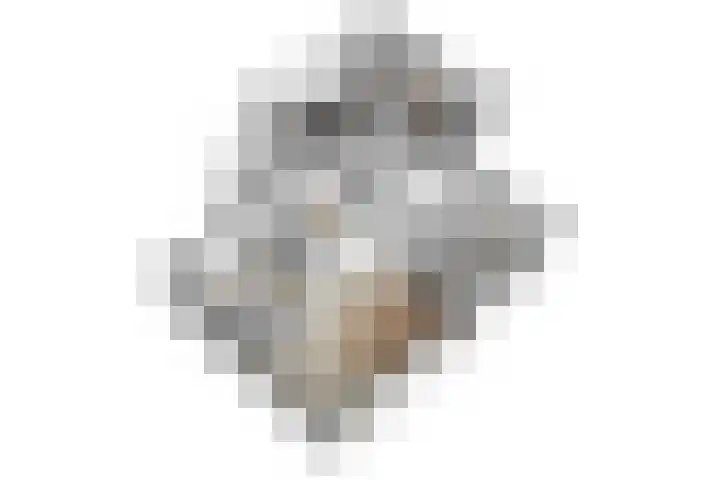 de Gamert 2302 Wijchen thumbnail 63