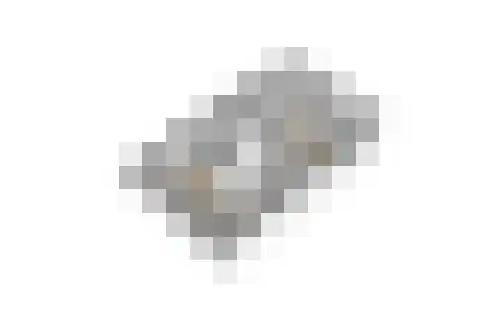 de Gamert 2302 Wijchen thumbnail 65