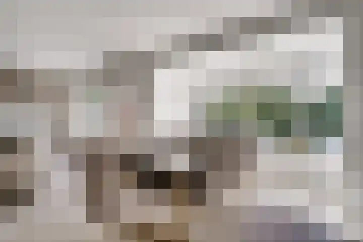de Gamert 2421 Wijchen thumbnail 11