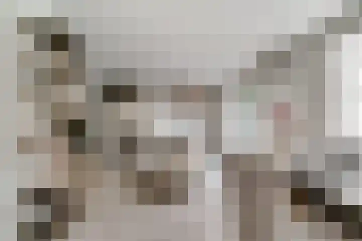 de Gamert 2421 Wijchen thumbnail 12