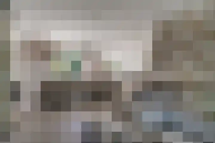 de Gamert 2421 Wijchen thumbnail 15
