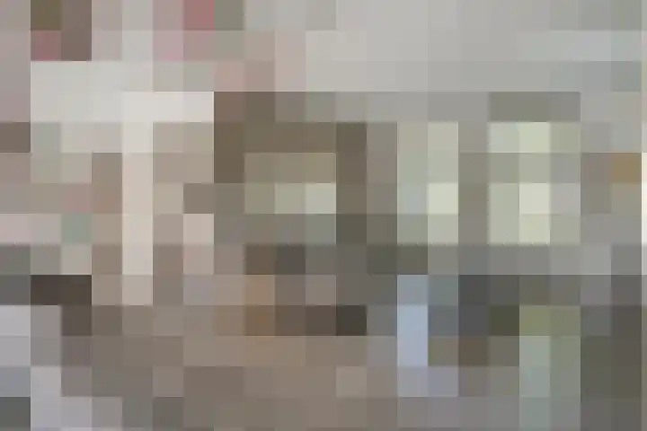 de Gamert 2421 Wijchen thumbnail 16