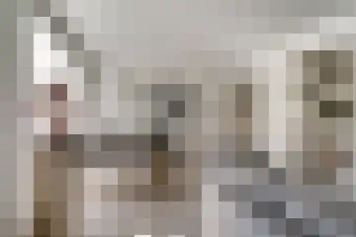 de Gamert 2421 Wijchen thumbnail 17