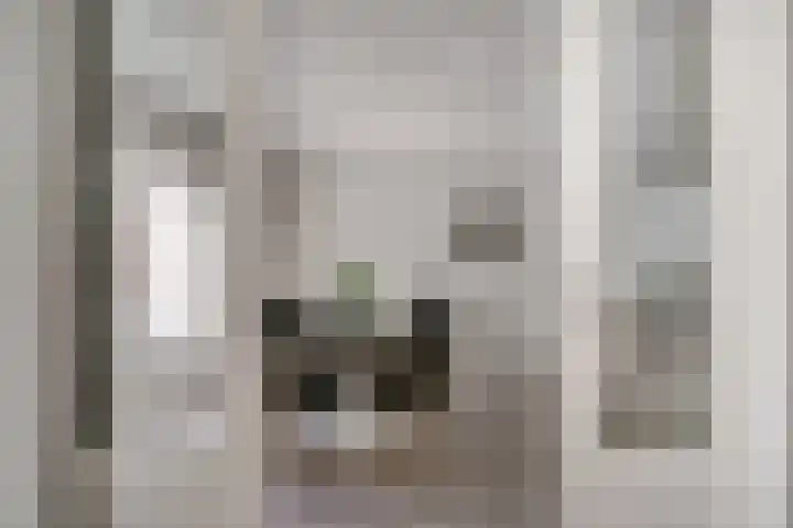 de Gamert 2421 Wijchen thumbnail 18