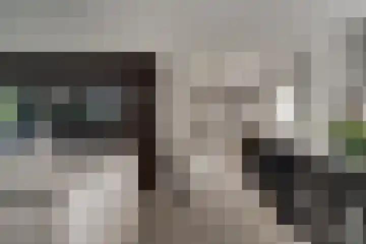 de Gamert 2421 Wijchen thumbnail 19