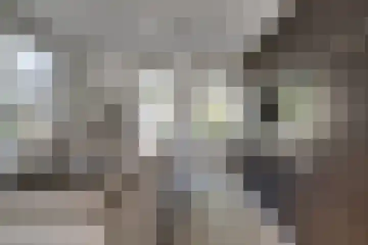 de Gamert 2421 Wijchen thumbnail 20
