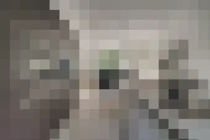 de Gamert 2421 Wijchen thumbnail 21