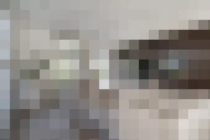 de Gamert 2421 Wijchen thumbnail 22