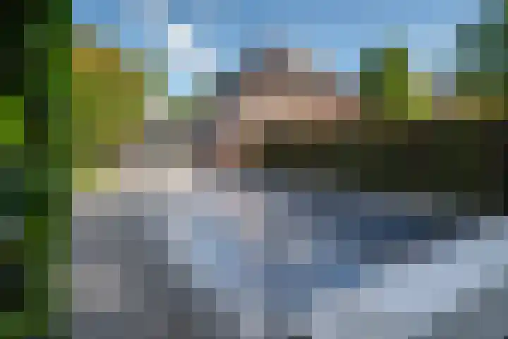 de Gamert 2421 Wijchen thumbnail 25
