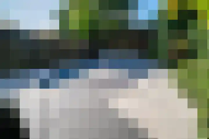 de Gamert 2421 Wijchen thumbnail 27