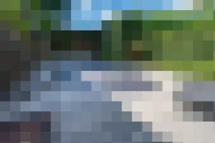 de Gamert 2421 Wijchen thumbnail 28
