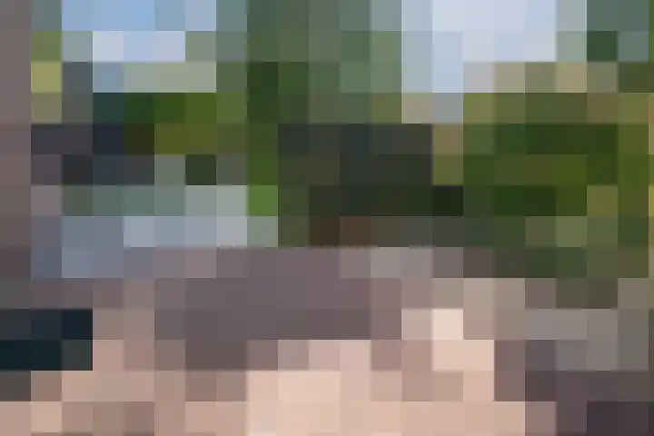 de Gamert 2421 Wijchen thumbnail 29